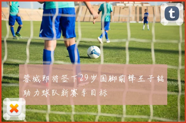 蓉城即将签下29岁国脚前锋王子铭助力球队新赛季目标