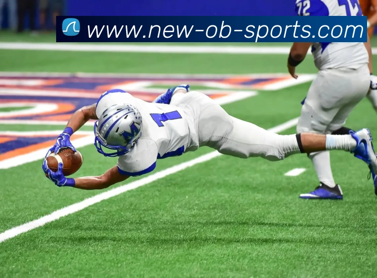 OB体育平台生态图